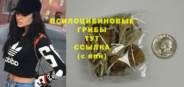 твердый Алзамай