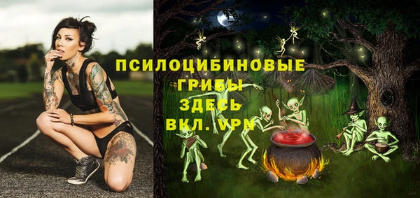 твердый Алзамай