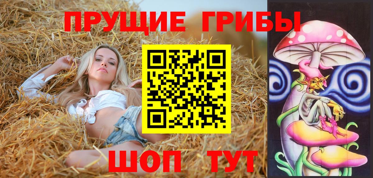 Псилоцибиновые грибы прущие грибы  Псилоцибиновые грибы GOLDEN TEACHER  Балашов  Вход с VPN 